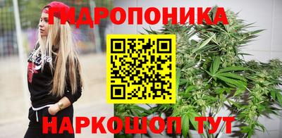прущие крисы Новозыбков