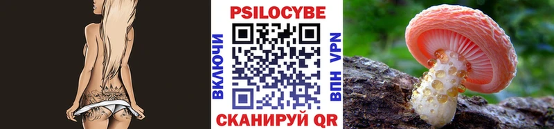 Псилоцибиновые грибы Psilocybe  Фурманов 