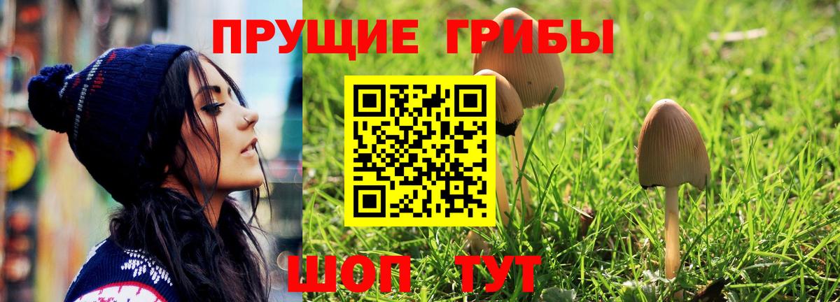 Галлюциногенные грибы мицелий Фурманов