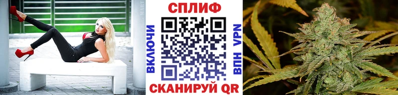 Конопля Amnesia  дарнет шоп  Фурманов 